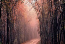 如何设计移动机器人的导向对中系统以提高定位精度？