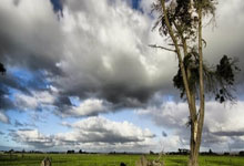 协作机械臂：移动机器人领域的得力助手