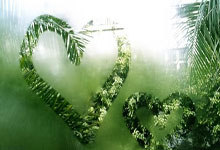 协作机械臂：移动机器人领域的得力助手