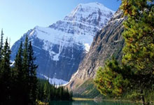 舵轮技术：驱动未来工业自动化的核心引擎与创新展望